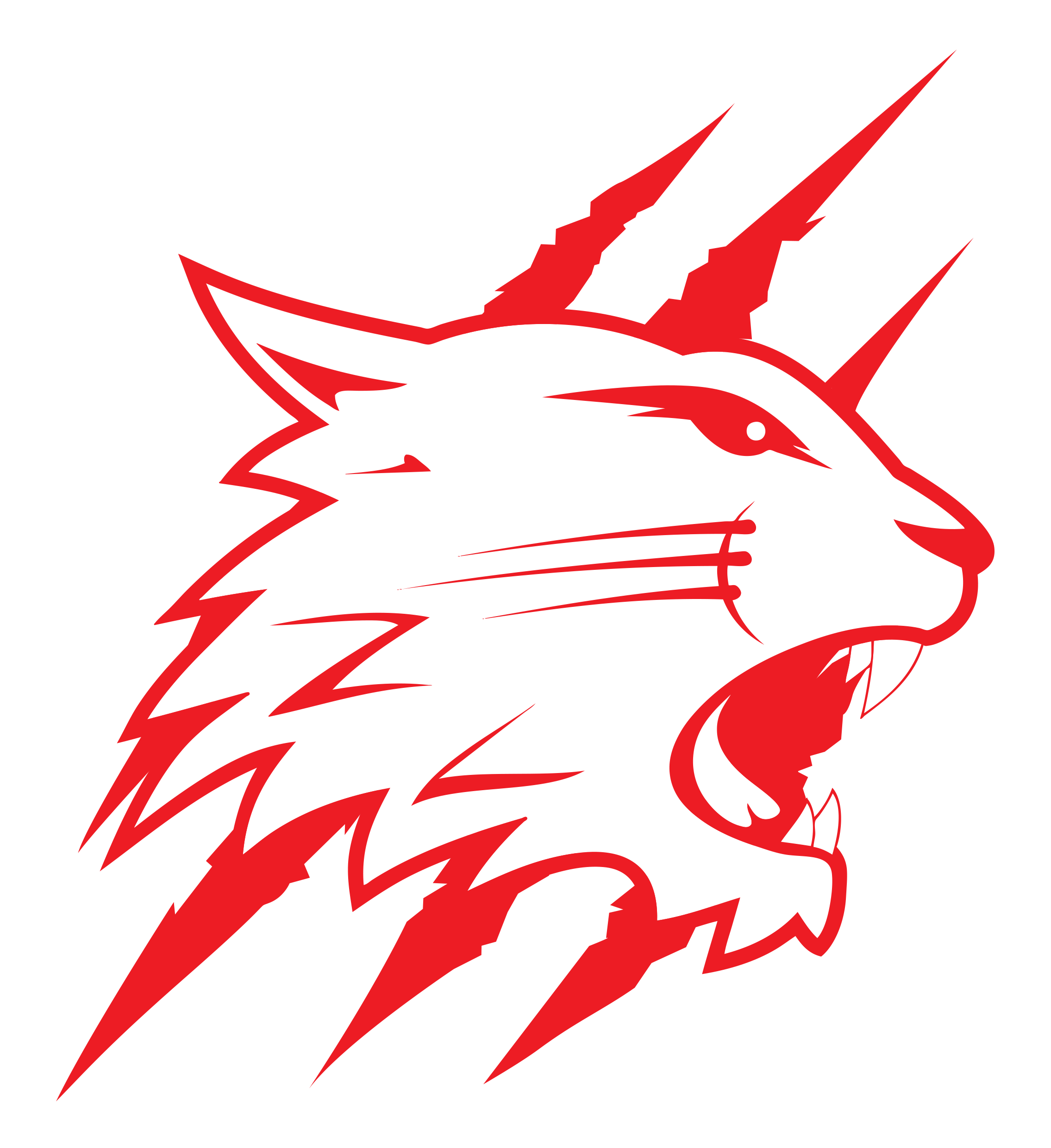 Swindon Wildcats logo